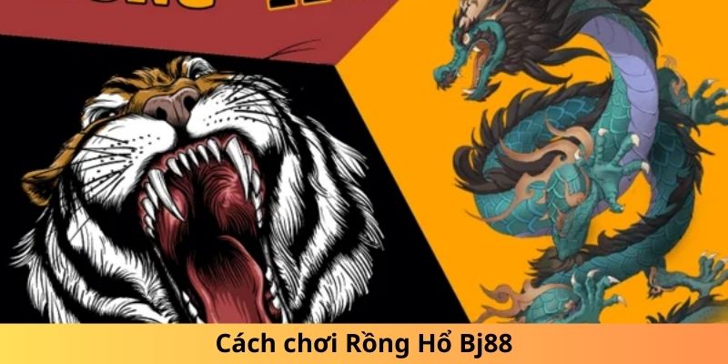 Cách chơi Rồng Hổ BJ88